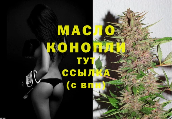 стафф Майский