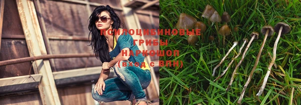 стафф Майский